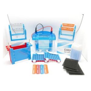 PAGE Electrophoresis System